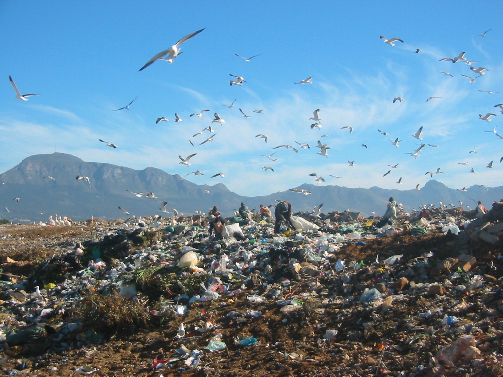 Site visit to a landfill. <br><span class='small text-muted'>(2011)</span>